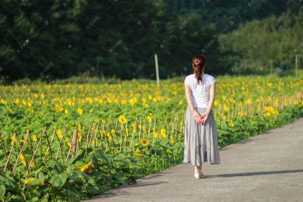 武汉茶馆，慢生活里的茶香记忆