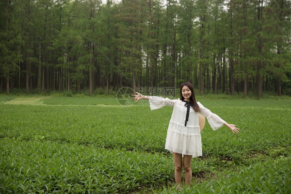 骑摩托游武汉,如何打造完美喝茶装备? 骑摩托游武汉,如何打造完美喝茶装备?